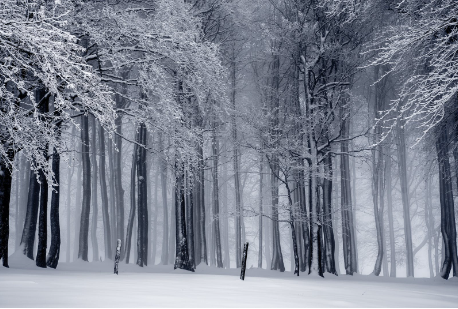 專業氣動隔膜泵